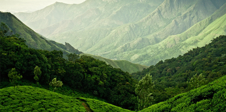 Munnar Package @ 7500/- Per person