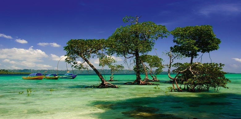 AMAZING ANDAMAN 5 Nights/6 Days