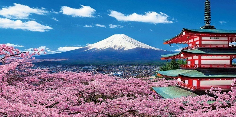 Best Japan Tour  7 Nights / 8 Days