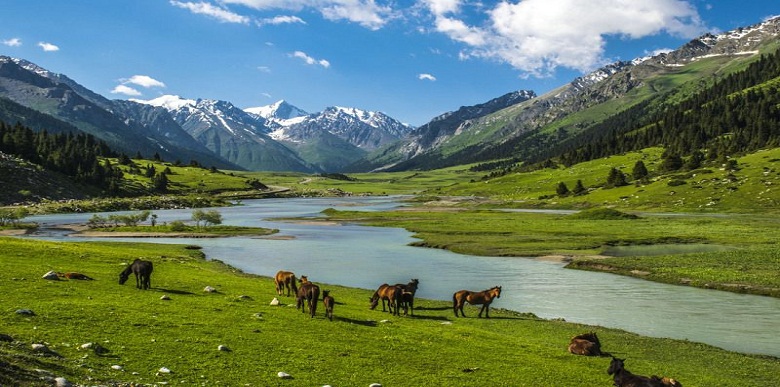 WOMEN’S SPECIAL LEH LADAKH