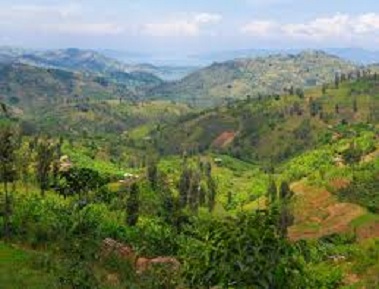 Best of Rwanda Safari  6 nights / 7 Days