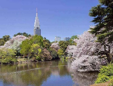 Japan Alpine route -Ashikaga flower 9 Nights/ 10 Days